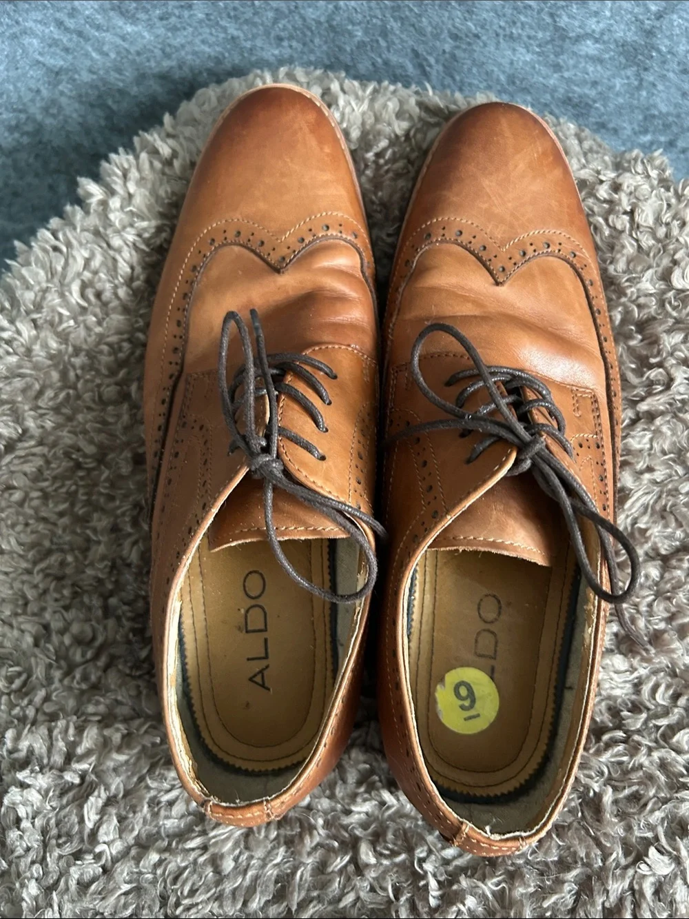 Aldo Tan Leather Wingtip Oxfords